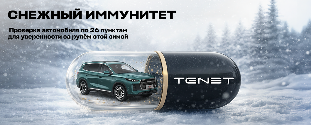 Комплексная диагностика Chery и Tenet за 2026 рублей